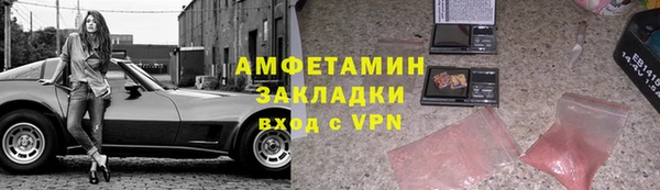 шишки Дмитровск