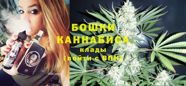 шишки Дмитровск