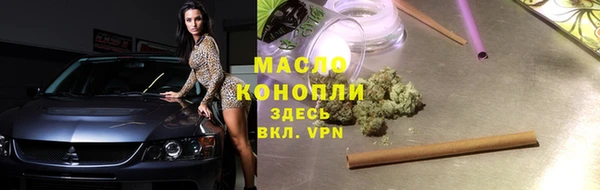 амф Дмитриев