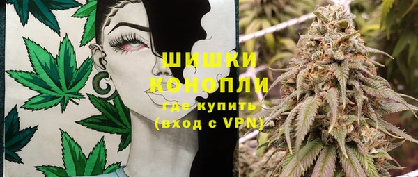 шишки Дмитровск
