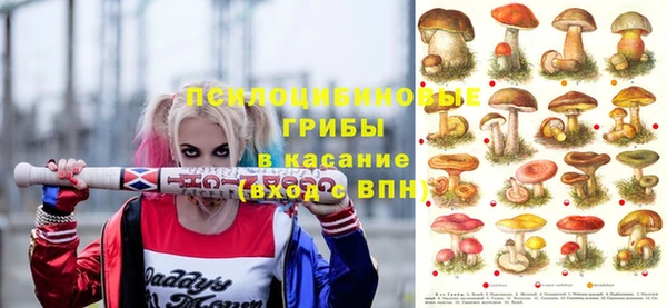 шишки Дмитровск