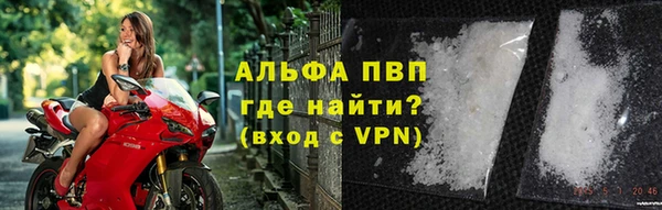 шишки Дмитровск