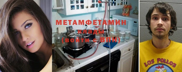 шишки Дмитровск