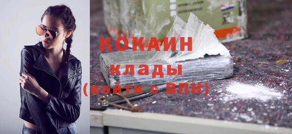 амф Дмитриев