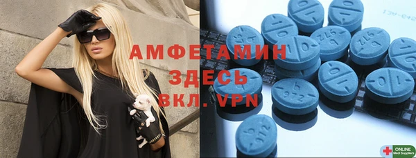 амф Дмитриев