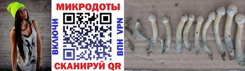 Галлюциногенные грибы Cubensis Учалы